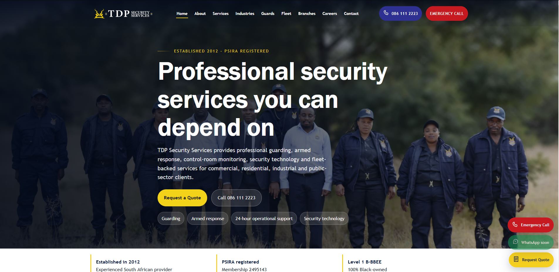 TDP Security desktop website screenshot